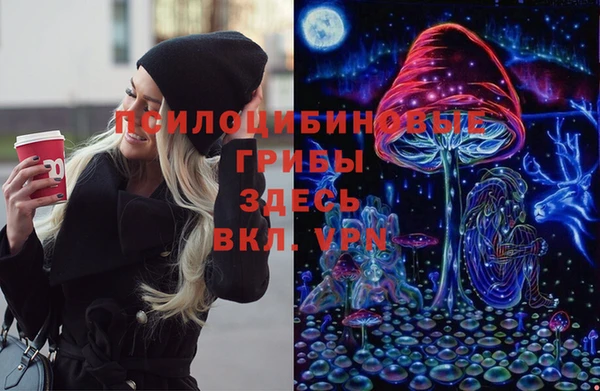 прущая мука Каменногорск