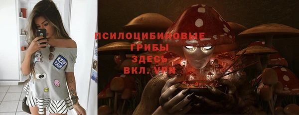 прущая мука Каменногорск