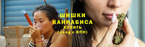 Альфа ПВП Каменка